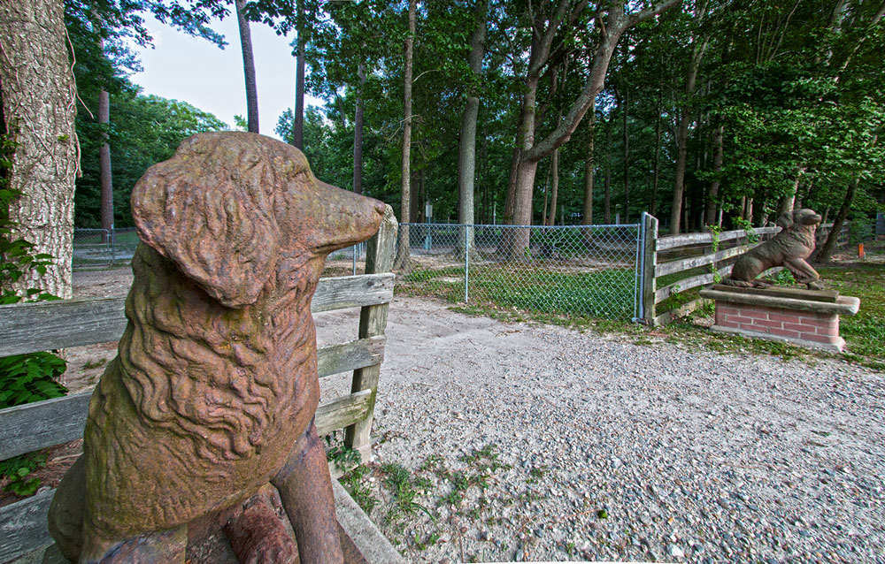 Les statues de ces chiots mignons vous accueillent au parc à chien.