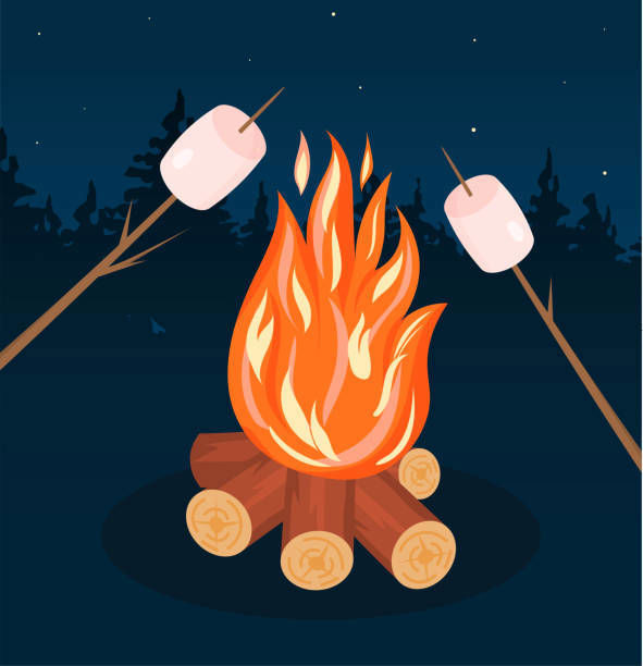 Istockphoto 1367548518 612X612