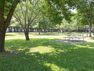 Les commodités des terrains