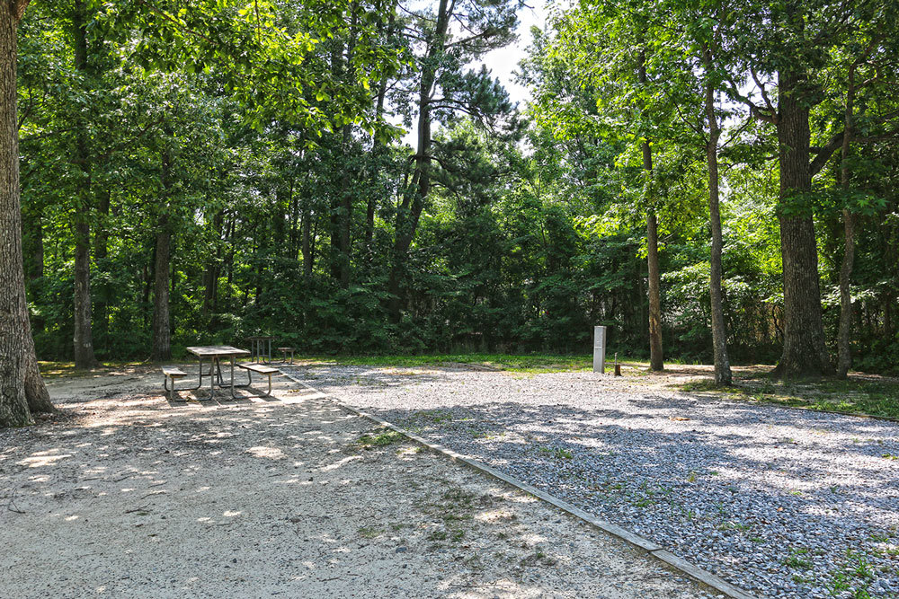 Many sites have both 30 and 50 amp connections.