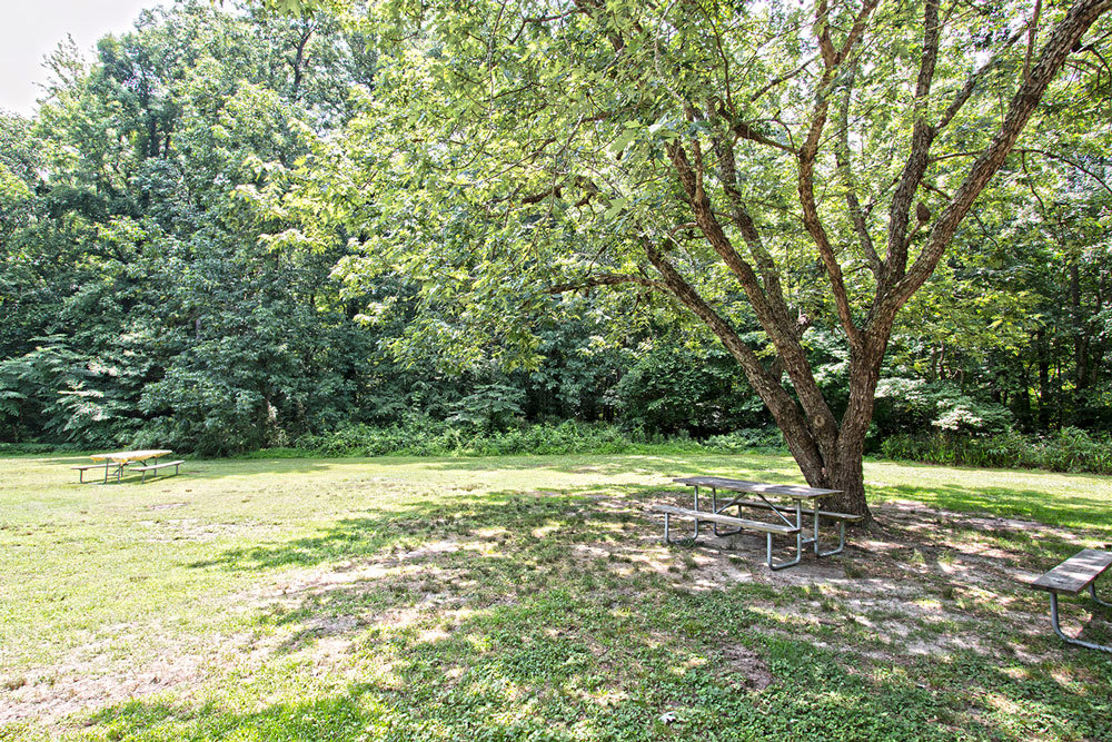Each site includes a picnic table regardless of site class.