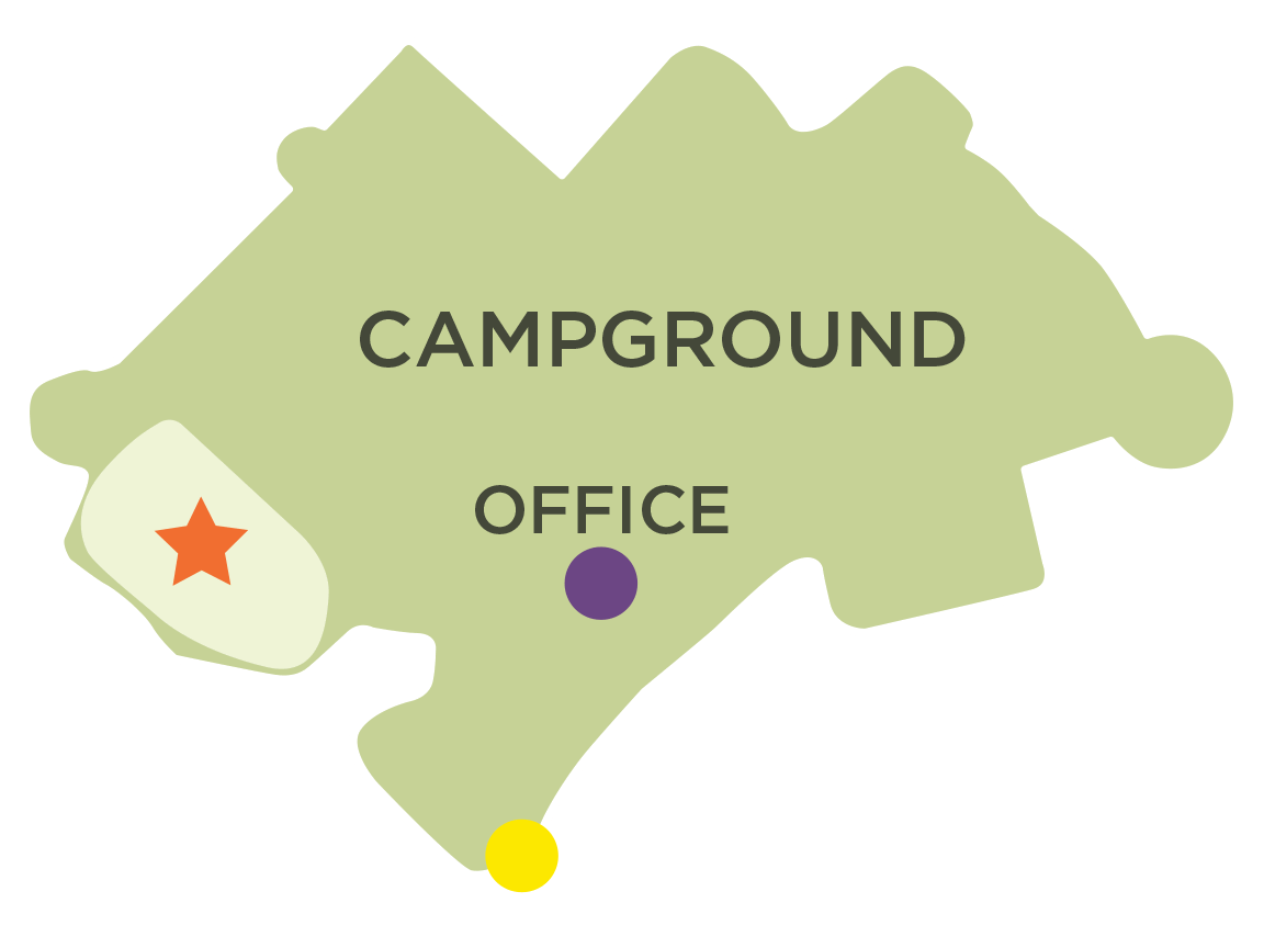 Basicsites Beechtreeforest Large