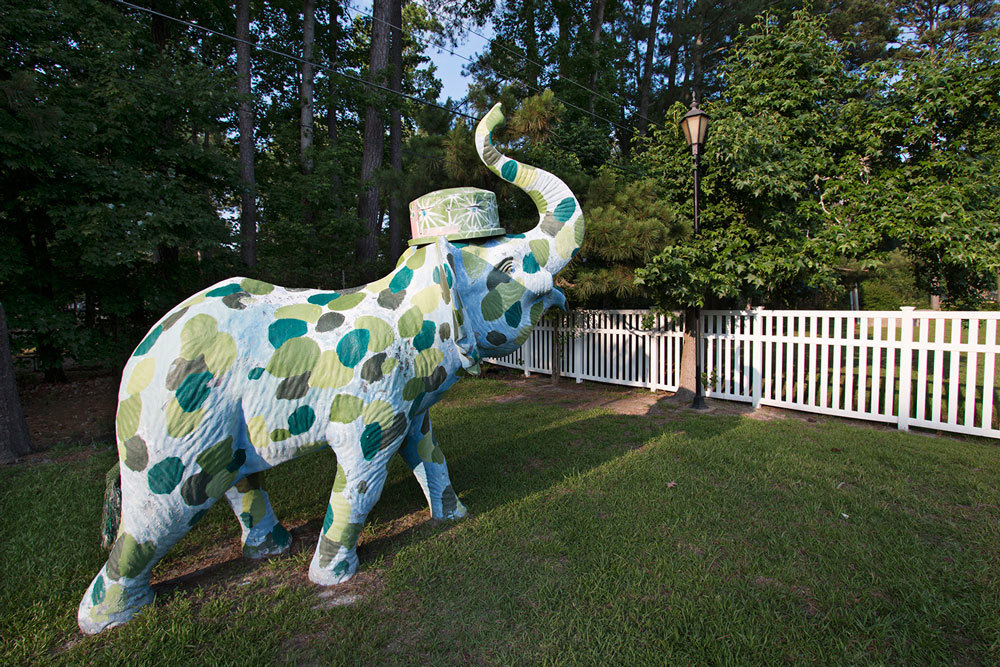 Regarde ce beau éléphant vert devant le Pavilion.