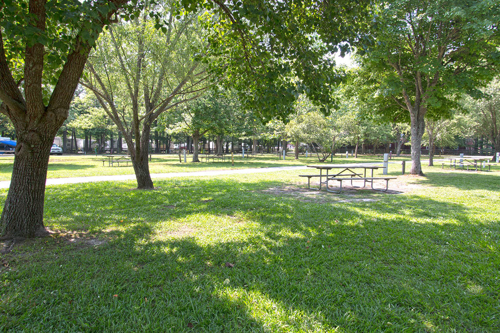 Don't hesitate to ask about shade level on your site if you have a preference.